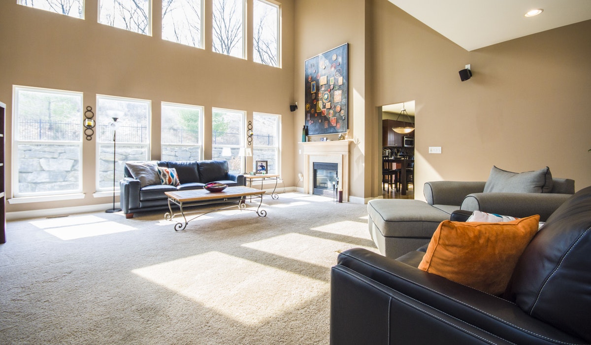 Vivamus auctor eu turpis vulputate vestibulum