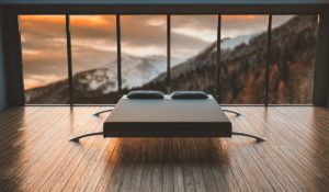 Cras nec fermentum sem pellentesque mollis justo enim